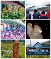 PSX_20180828_154007 Alaska Collage