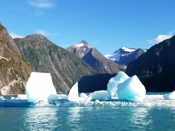 Alaska "Icebergs in                                               Tracy Arm Fjord"